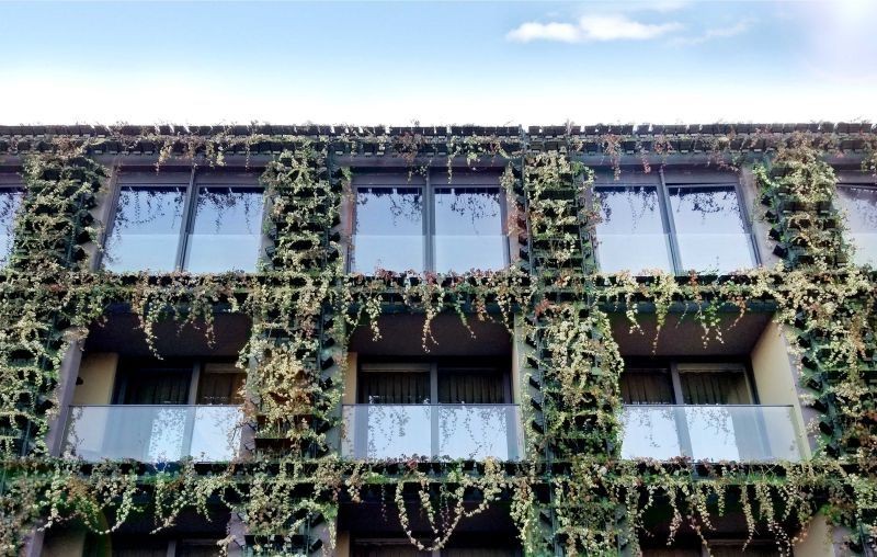 Green Architecture - Radisson Tsinandali